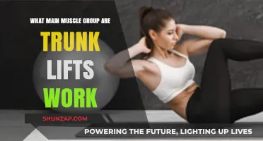 Trunk Lifts: Targeting Core Muscles for Strength and Stability