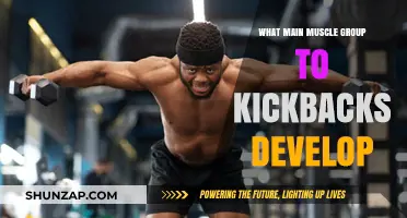 Kickbacks Target: Strengthening Your Rear Deltoids and Upper Back Muscles