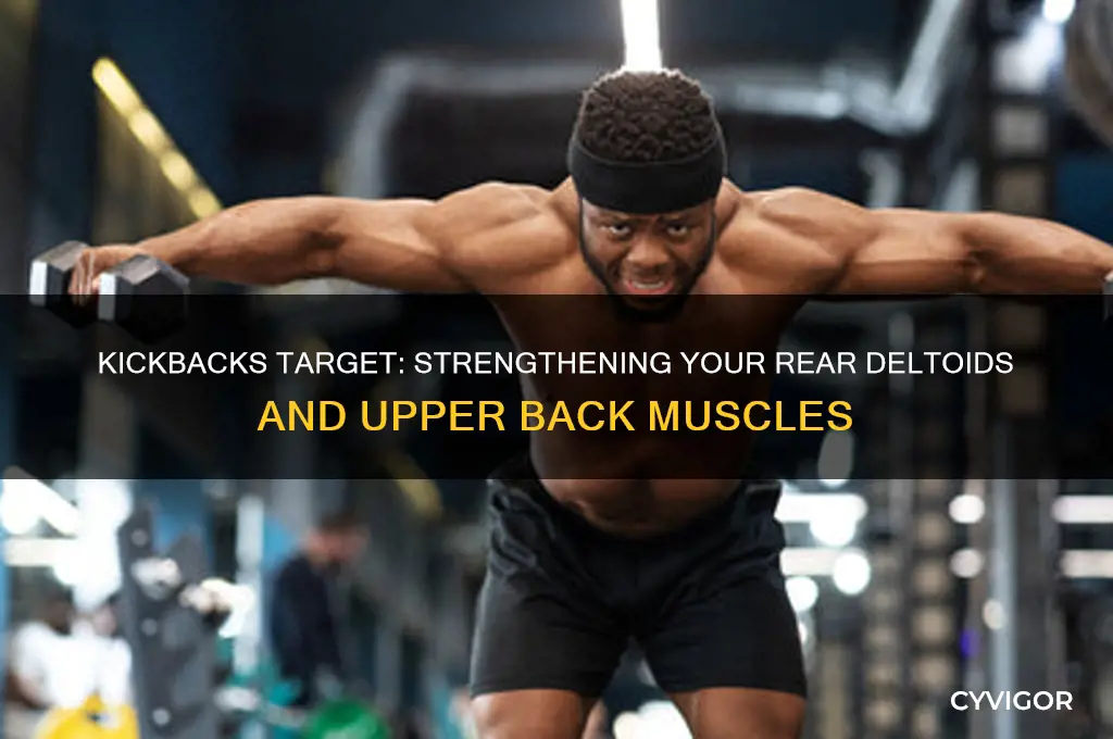 what main muscle group to kickbacks develop