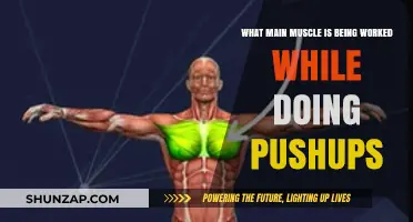 Pushups: Targeting Your Chest, Shoulders, and Triceps for Strength