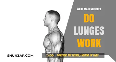 Lunges: Targeting Glutes, Quads, Hamstrings, and Core Muscles Effectively