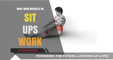 Sit Ups: Targeting Core Muscles for Strength and Stability
