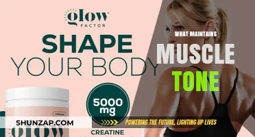 How to Maintain Muscle Tone: Tips and Tricks