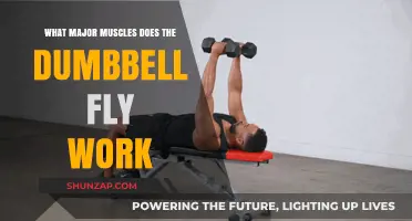Dumbbell Fly: Targeting Chest, Shoulders, and Upper Back Muscles