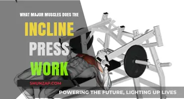 Incline Press Muscles: Targeting Chest, Shoulders, and Triceps Effectively
