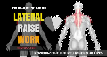 Lateral Raise Muscles: Targeting Shoulders, Deltoids, and Upper Body Strength