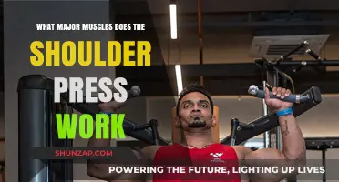 Shoulder Press Muscles: Targeted Strength Training for Delts and Upper Body