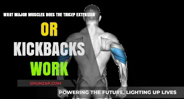Tricep Extensions and Kickbacks: Targeting Major Arm Muscles Effectively