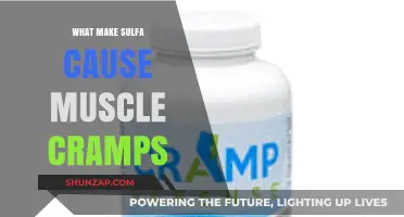 Why Sulfa Drugs Trigger Muscle Cramps: Understanding the Mechanism
