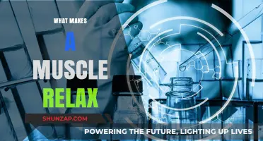 Unwinding Tension: Understanding the Science Behind Muscle Relaxation