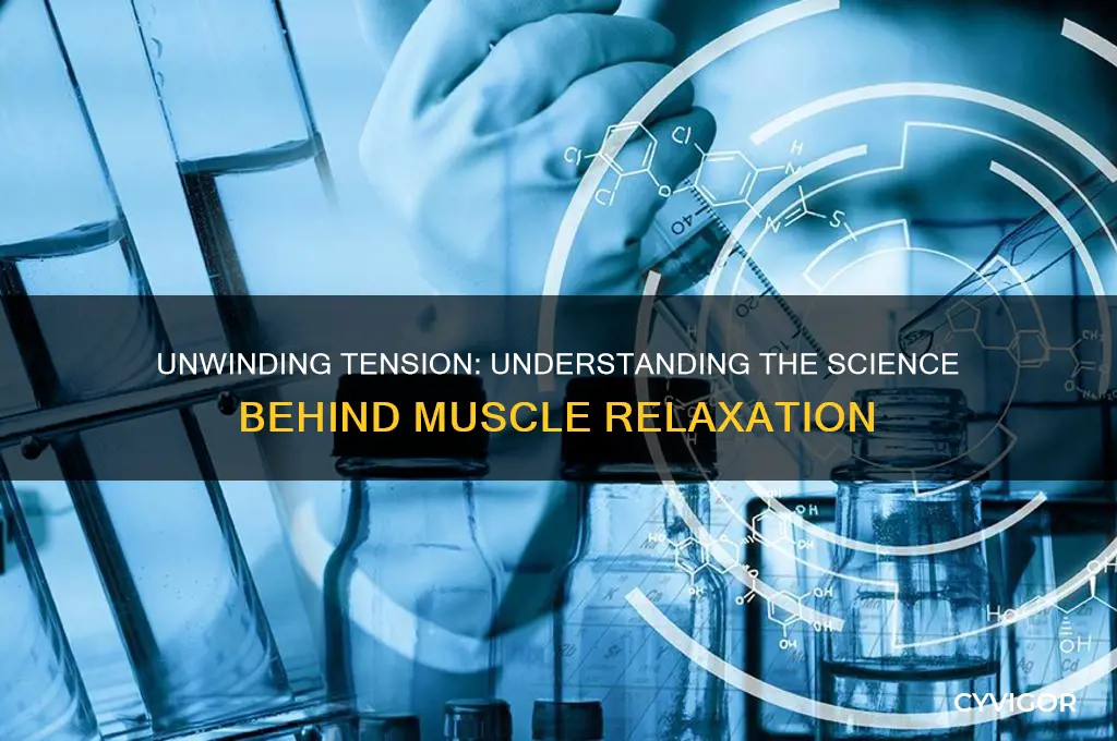 what makes a muscle relax
