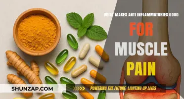 How Anti-Inflammatories Effectively Relieve Muscle Pain and Promote Healing