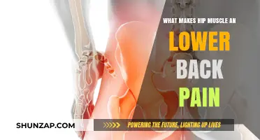 Hip Muscles and Lower Back Pain: Unraveling the Connection for Relief