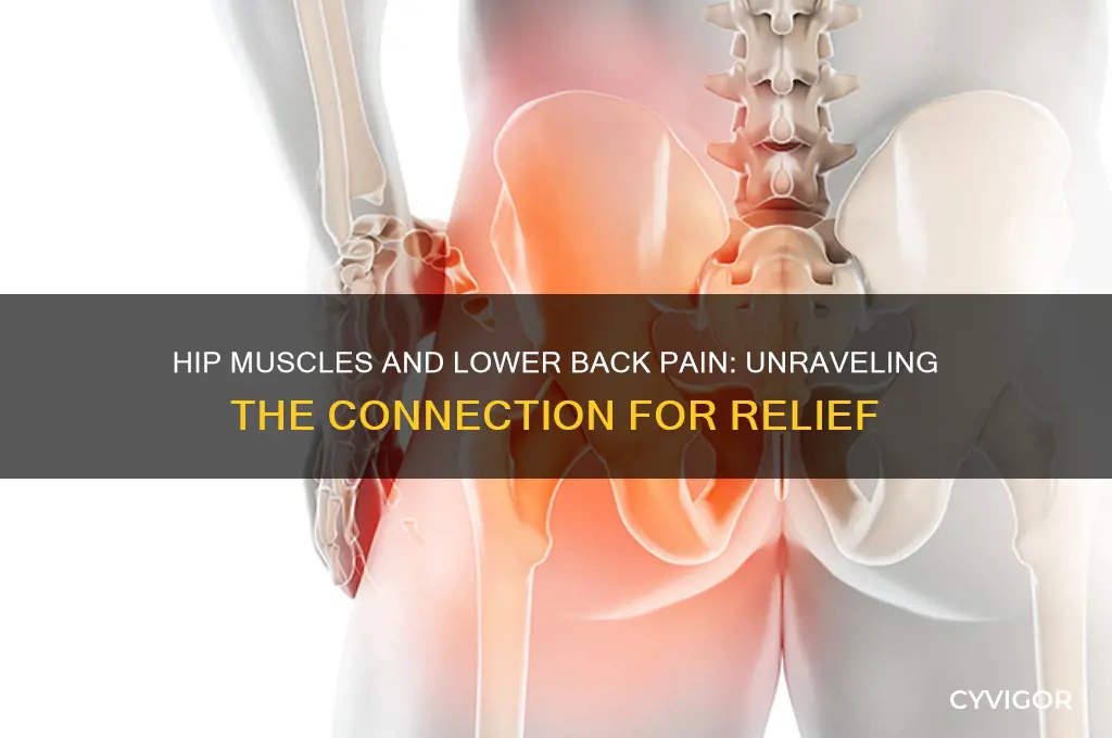 what makes hip muscle an lower back pain