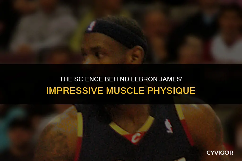 what makes lebron james muscles so good