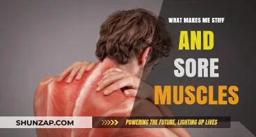Unraveling Stiffness and Soreness: Causes and Remedies for Aching Muscles