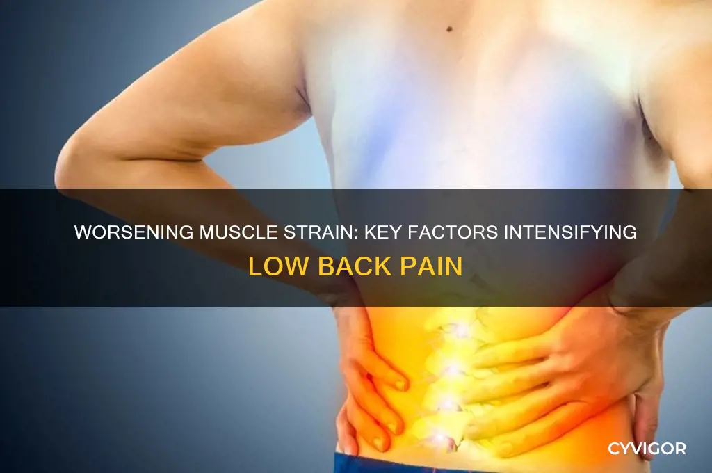 what makes muscle strain low back pain worse