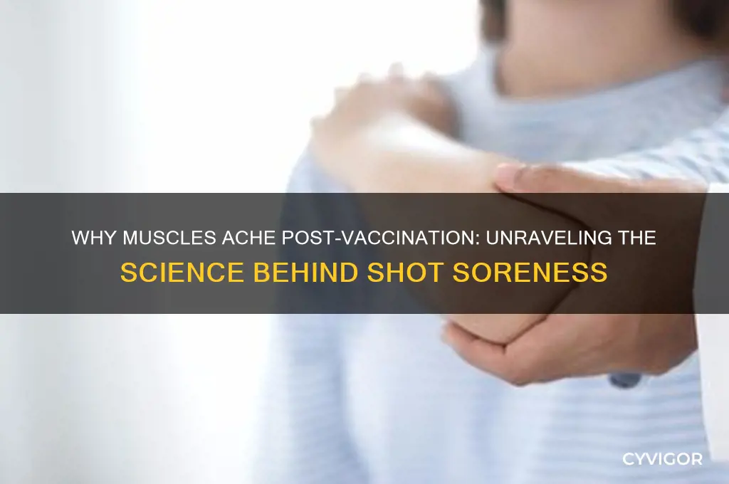 what makes muscles sore after shots