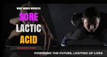 Lactic Acid and Muscle Soreness: Unraveling the Post-Workout Pain Mystery