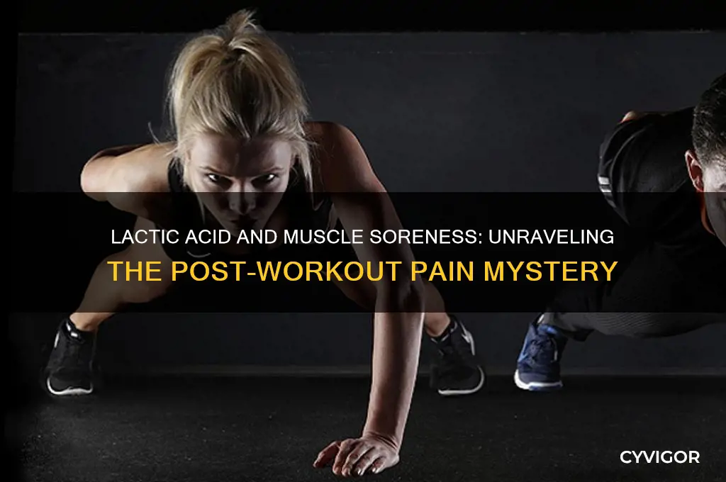 what makes muscles sore lactic acid