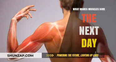 Why Muscles Ache: Unraveling the Mystery of Next-Day Soreness