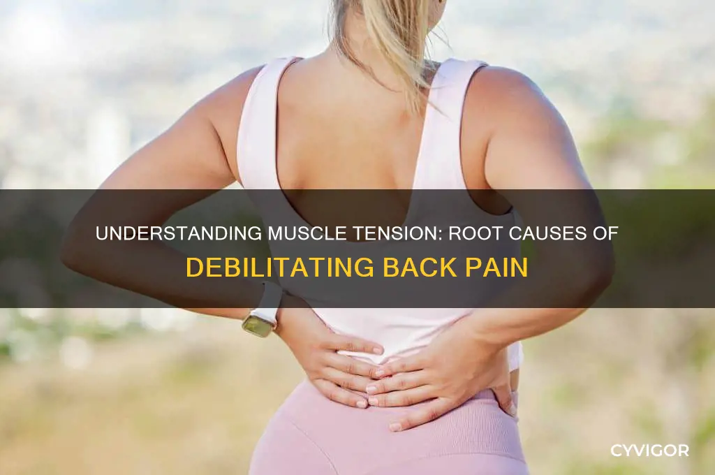 what makes muscles tense to cause backpain