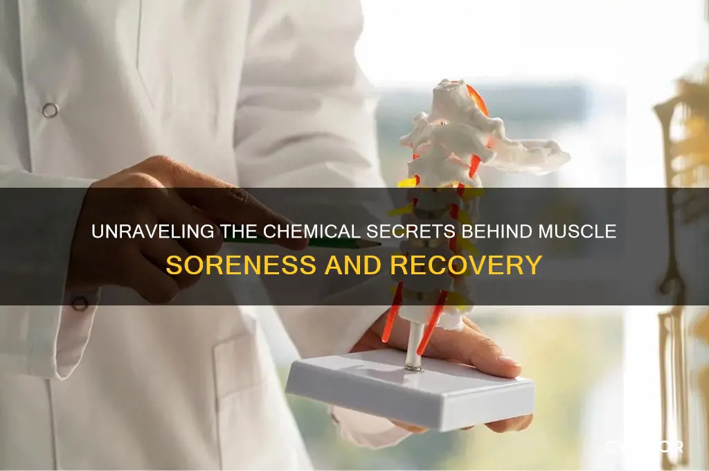 what makes muscles work chemically sore