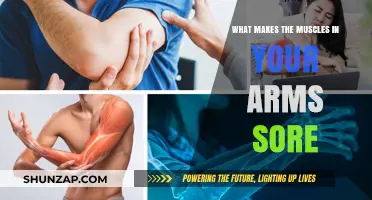 Understanding Arm Muscle Soreness: Causes, Prevention, and Recovery Tips