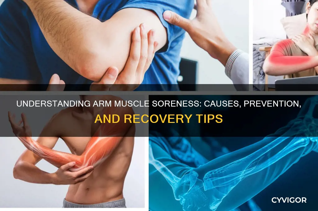 what makes the muscles in your arms sore