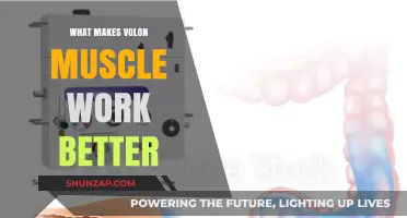 Unlocking Volon Muscle Efficiency: Key Factors for Optimal Performance