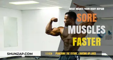 Accelerate Muscle Recovery: Proven Strategies for Faster Body Repair