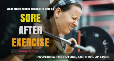 Why Muscles Feel Stiff or Sore After Exercise: Understanding Post-Workout Pain