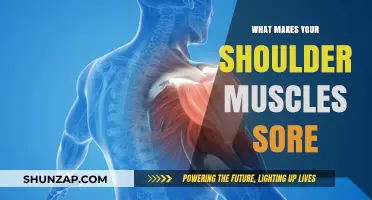 Why Your Shoulder Muscles Ache: Causes and Relief Strategies