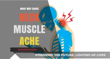 Understanding Neck Muscle Ache: Common Causes and Triggers Explained