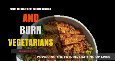 Muscle-Building Vegetarian Meals: Fuel Your Gains and Burn Fat