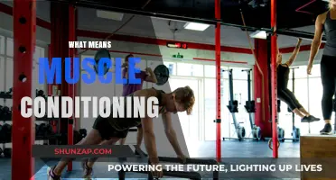 Conditioning Muscles: Building Strength and Endurance