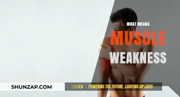 Understanding Muscle Weakness: Causes and Implications
