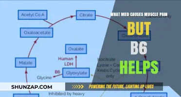 B6 to the Rescue: Medications That Cause Muscle Pain and How Vitamin B6 Can Help