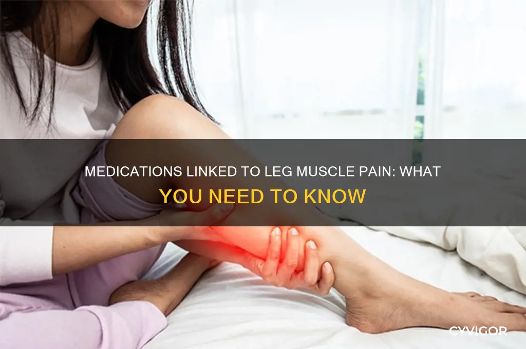what medications cause leg muscle pain