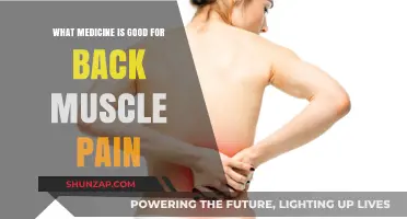 Relieving Back Muscle Pain: Effective Medications and Remedies