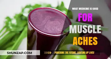 Effective Remedies for Muscle Aches: A Comprehensive Guide