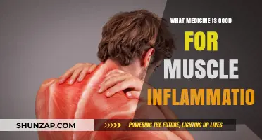 Effective Medications to Alleviate Muscle Inflammation: A Comprehensive Guide