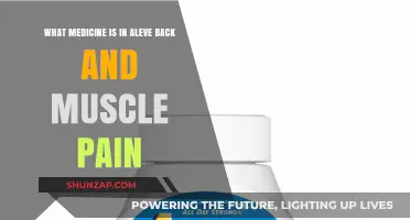 Aleve Back & Muscle Pain: Active Ingredients and Relief Explained