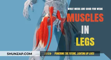 Strengthening Your Stride: Top Medications for Weak Leg Muscles