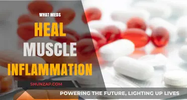 Best Medication Options for Muscle Inflammation