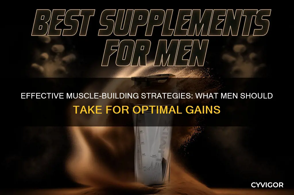 what men sgo take to gain muscle
