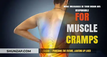Decoding the Neural Signals Behind Muscle Cramps