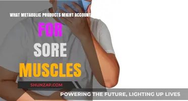Unraveling Metabolic Culprits: What Causes Sore Muscles After Exercise?