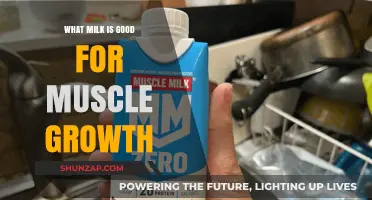 Fuel Your Gains: The Best Milk for Muscle Growth Revealed