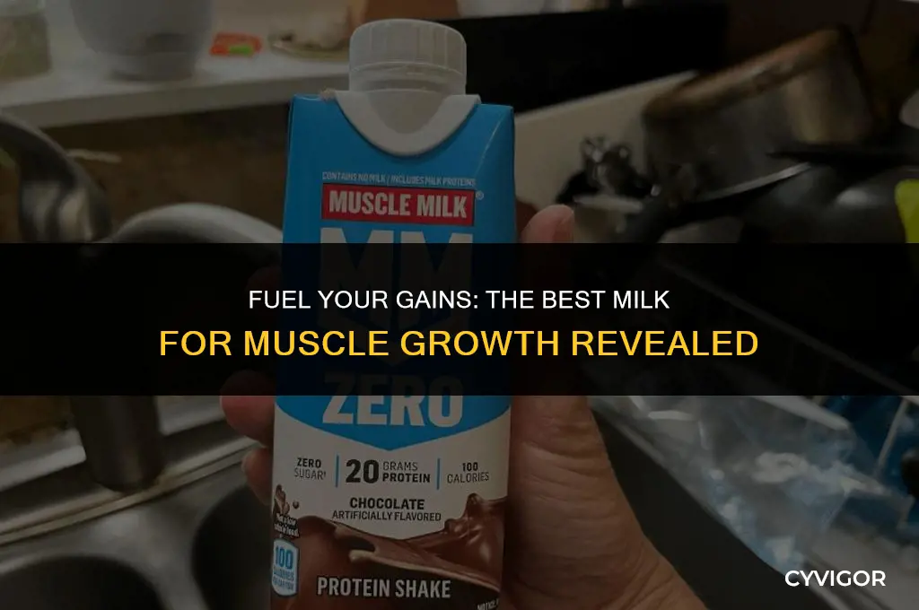 what milk is good for muscle growth